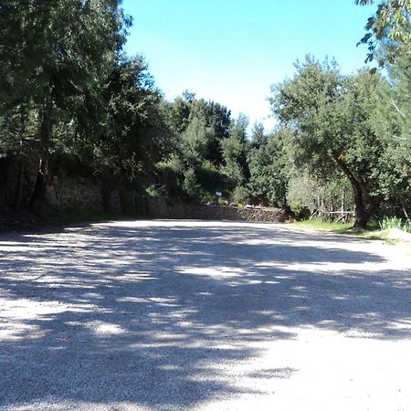 Hotel Sant'Elene Dorgali Bagian luar foto