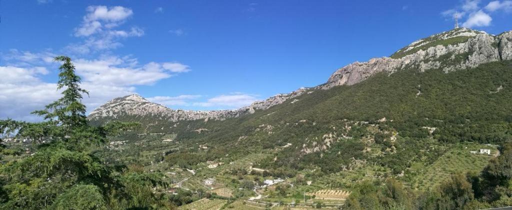 Hotel Sant'Elene Dorgali Bagian luar foto